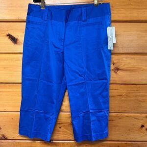 Fashion Bug Stretchy Royal Blue Cropped Women’s Straight Mid Calf Pants 16